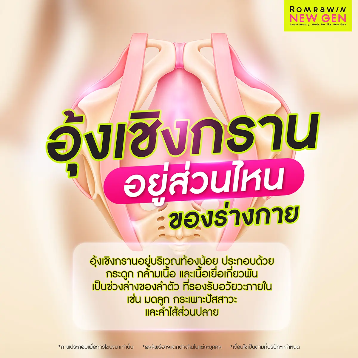 อุ้งเชิงกรานอยู่ส่วนไหนของร่างกาย โครงสร้างกระดูกและกล้ามเนื้อบริเวณท้องน้อย Romrawin New Gen