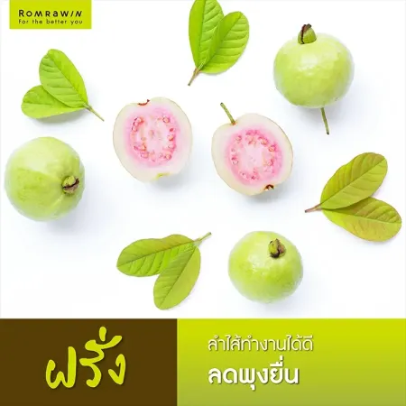 ฝรั่ง ลำไส้ทำงานได้ดี ลดพุงยื่น ภาพฝรั่งลูกสีเขียวและแบบผ่าซีกเนื้อสีชมพูวางเรียงกระจายพร้อมใบไม้บนพื้นขาว