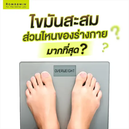 ลดไขมันในร่างกาย ไขมันสะสมส่วนไหนมากที่สุด