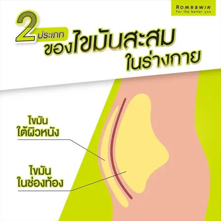 วิธีการสลายไขมัน ไขมันส่วนเกิน