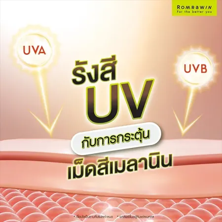 ฝ้าแดด