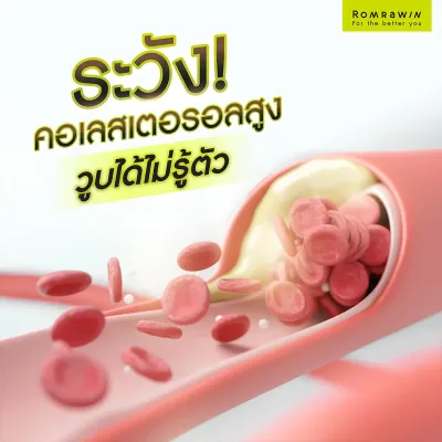คอเลสเตอรอลสูงเกิดจากอะไร? สาเหตุ อาการ และวิธีดูแลตัวเอง