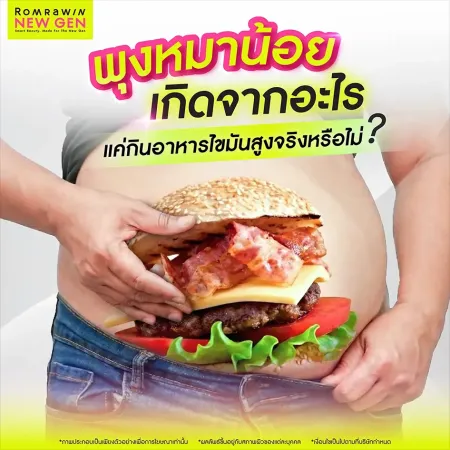 พุงหมาน้อย เกิดจากอะไร ภาพกราฟิกจำลองการกินอาหารฟาสต์ฟู้ดที่มีไขมันสูงซึ่งเป็นหนึ่งในสาเหตุหน้าท้องป่อง