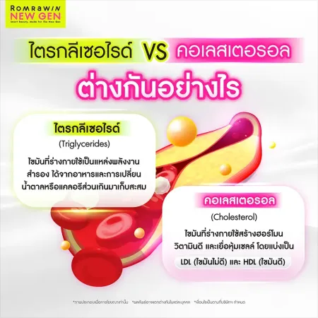 ไตรกลีเซอไรด์ VS คอเลสเตอรอล ต่างกันอย่างไร ภาพกราฟิกเปรียบเทียบการทำงานของไขมันทั้งสองชนิดภายในหลอดเลือด