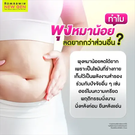 ทำไมพุงหมาน้อยลดยากกว่าส่วนอื่น อธิบายสาเหตุการสะสมไขมันสำรองเฉพาะจุดบริเวณพุงล่าง